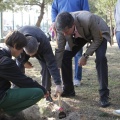 Castellón, 2013