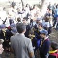 Castellón, 2013
