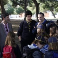 Castellón, 2013
