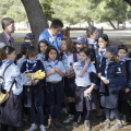 Castellón, 2013