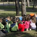 Castellón, 2013