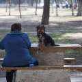 Castellón, 2013