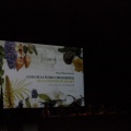 Castellón, UJI 2013