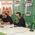 Castellón, LAUDE BRITISH SCHOOL OF VILA-REAL