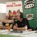 Castellón, LAUDE BRITISH SCHOOL OF VILA-REAL