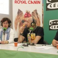 Castellón, LAUDE BRITISH SCHOOL OF VILA-REAL