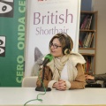 Castellón, LAUDE BRITISH SCHOOL OF VILA-REAL