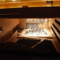 Bamberg Symphony Orchestra