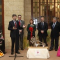 Castellón, Dávalos-Fletcher