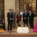 Castellón, Dávalos-Fletcher
