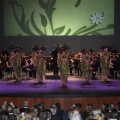 Castellón, Premios Moros d´Alqueria