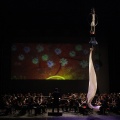 Castellón, Premios Moros d´Alqueria