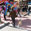 Castellón, Magdalena 2013