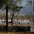 Castellón, Magdalena 2013