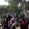Romeria Magdalena 2013