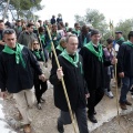 Romeria Magdalena 2013