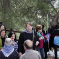 Romeria Magdalena 2013