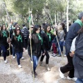Romeria Magdalena 2013