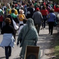 Romeria Magdalena 2013