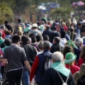 Romeria Magdalena 2013