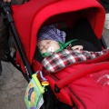 Romeria Magdalena 2013