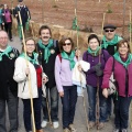 Romeria Magdalena 2013