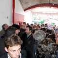 Novillada