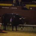 Castellón, Magdalena 2013