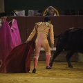 Castellón, Magdalena 2013