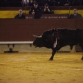 Castellón, Magdalena 2013