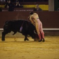 Castellón, Magdalena 2013