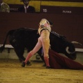 Castellón, Magdalena 2013