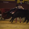 Castellón, Magdalena 2013