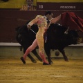 Castellón, Magdalena 2013