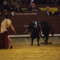 Castellón, Magdalena 2013