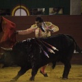 Castellón, Magdalena 2013