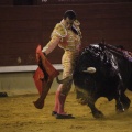 Castellón, Magdalena 2013