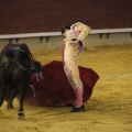 Castellón, Magdalena 2013