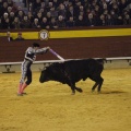 Castellón, Magdalena 2013