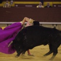 Castellón, Magdalena 2013