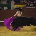 Castellón, Magdalena 2013