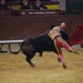 Castellón, Magdalena 2013