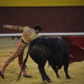Castellón, Magdalena 2013