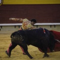 Castellón, Magdalena 2013