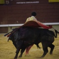 Castellón, Magdalena 2013