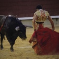 Castellón, Magdalena 2013