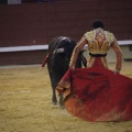 Castellón, Magdalena 2013