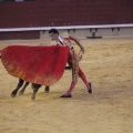 Castellón, Magdalena 2013