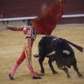 Castellón, Magdalena 2013
