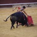 Castellón, Magdalena 2013
